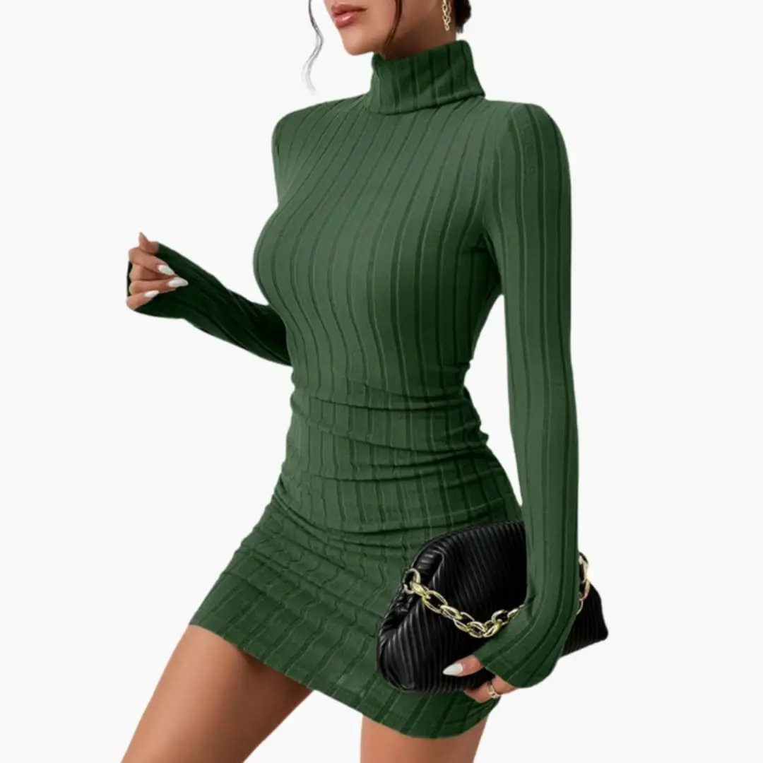 Women’s Knit Dress with a Defined Waist